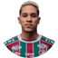 Gustavo Apis