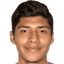 Carlos Gamarra